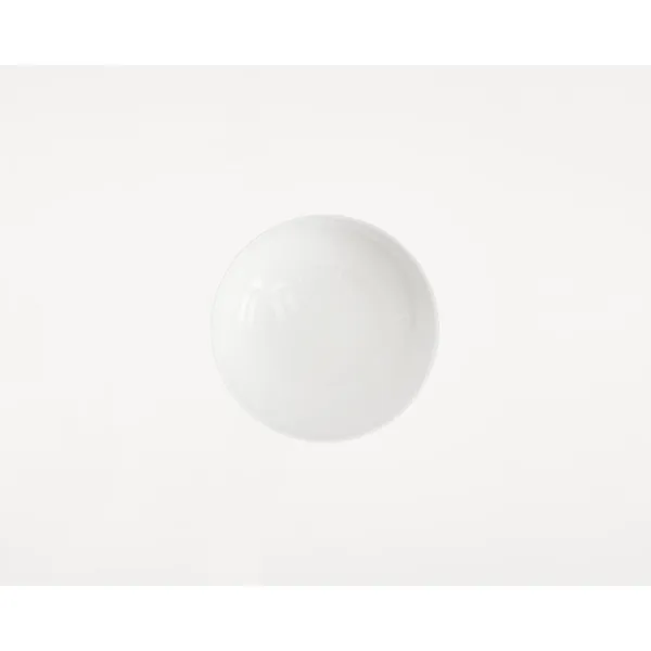 Ovoid Væglampe Rustfri Stål