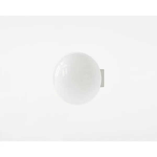 Ovoid Væglampe Rustfri Stål