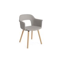 Layout 224 Dining Chair With Armrest Autumn 101/Oak