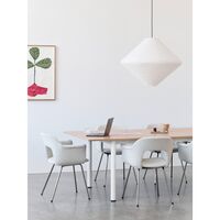 Layout 224 Dining Chair With Armrest Autumn 101/Oak