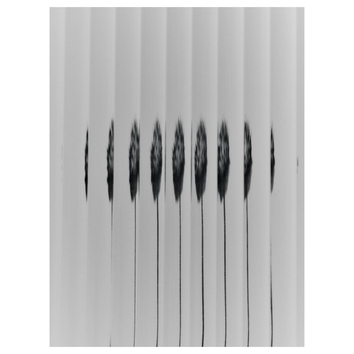 Haze Wall-Hung Cabinet 35x100 Cashmere