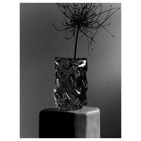 Virelle Vaso H24 Trasparente
