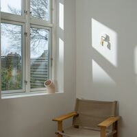 Loose Bird Without Sensor Wood