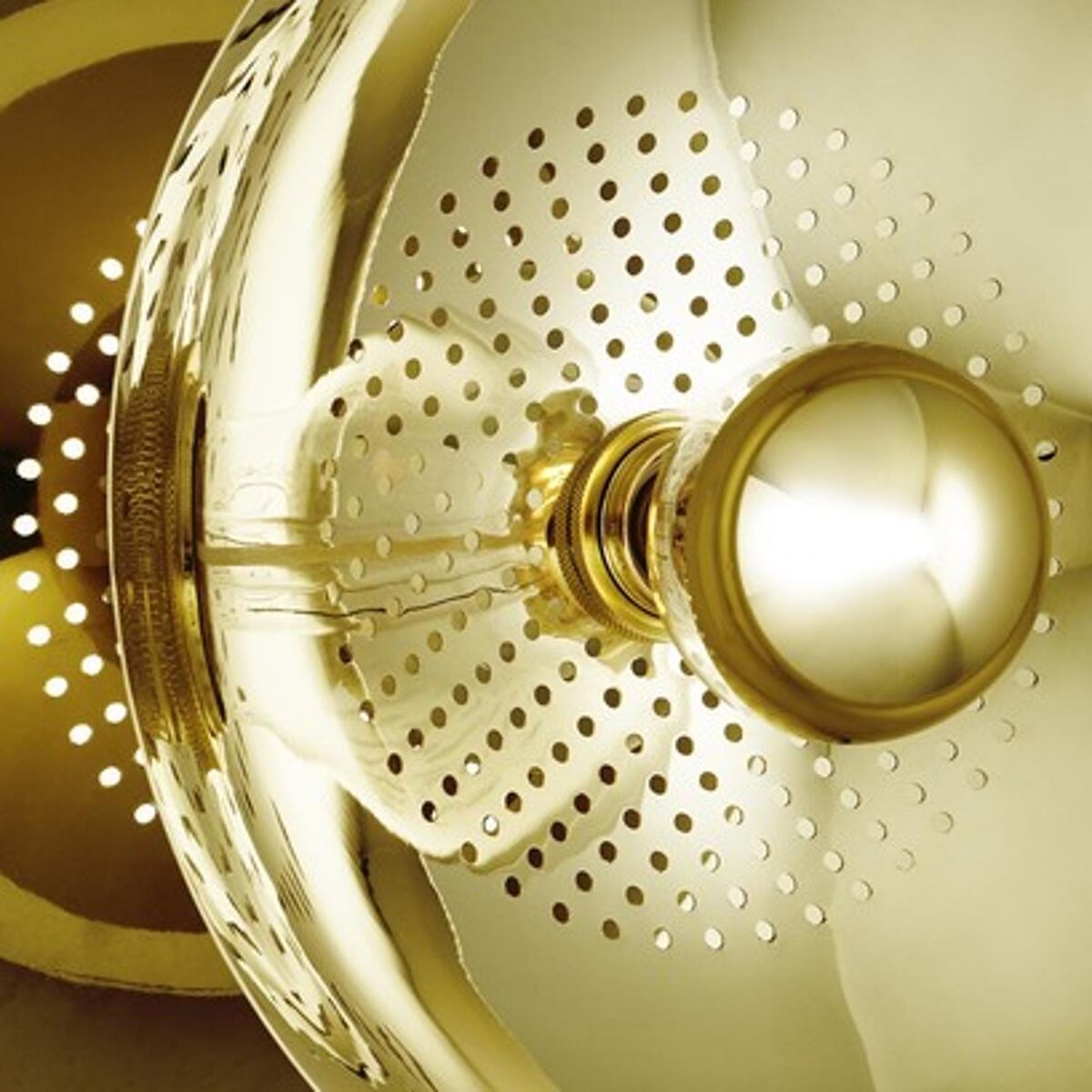 Wanted Wall Lamp With Backplate Gold