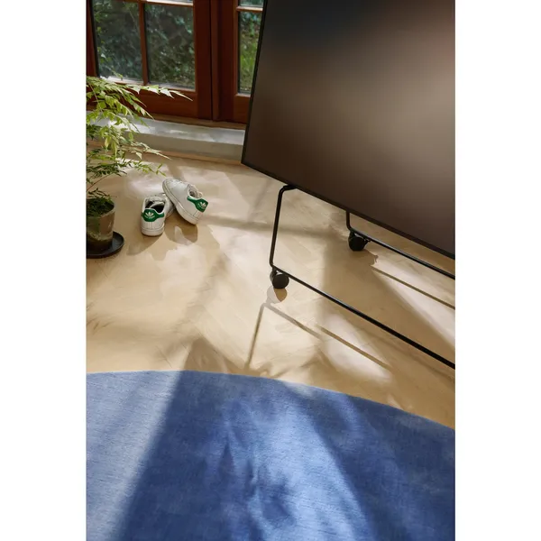 Carry TV Stand With Wheels Jaipur