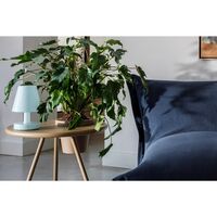 Edison The Ambiance Tragbare Lampe Polarblau