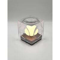 Lampada Portatile Chant Trasparente/ Argento