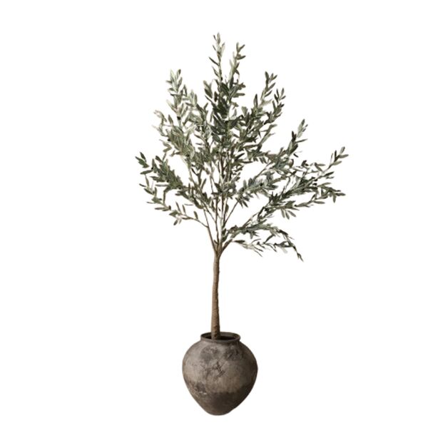 Olive Wood Green