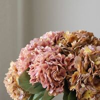 Seasonal Hydrangea Buket Orange