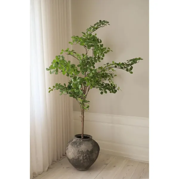 Tropical Almond Wood Green
