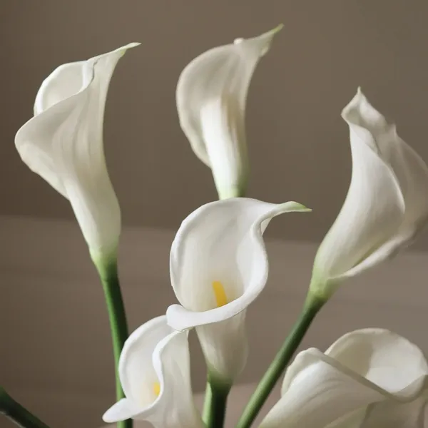 Calla Lily Bouquet White