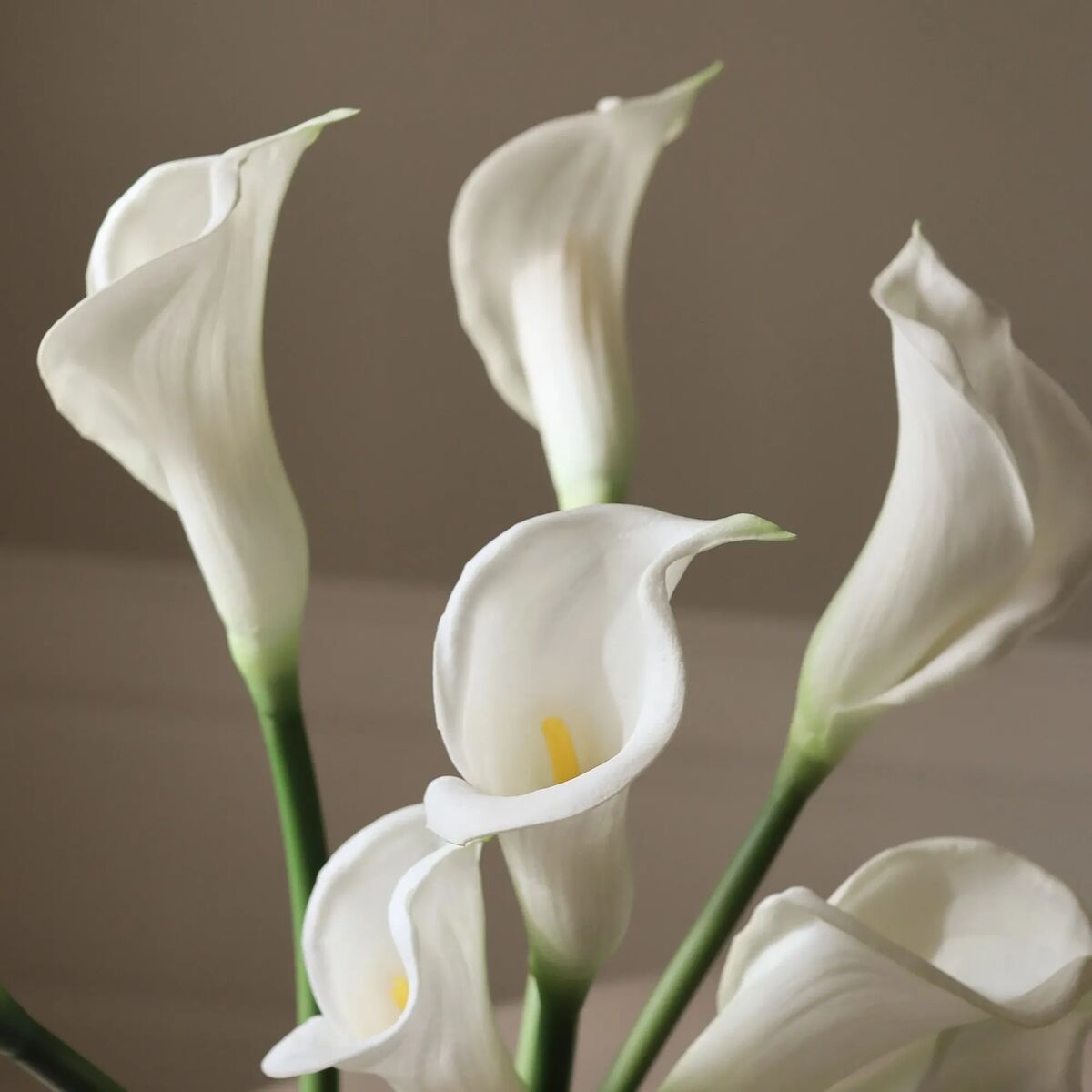 Calla Lily Bouquet White