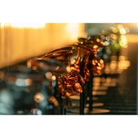 Gelato T1 Portable Lamp Spritz
