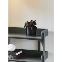 Utility Shelf White Pigmented Oak