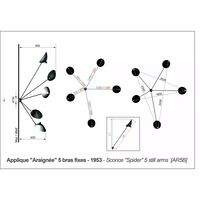 Spider 5 Fixed Arms Wall Lamp Black