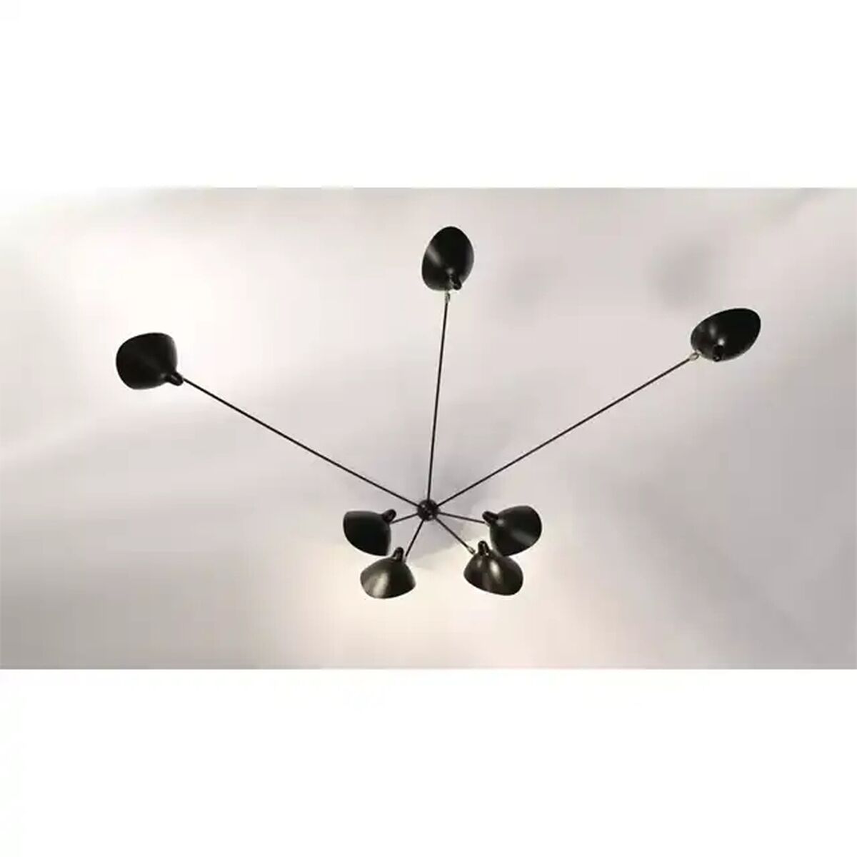 Spider 7 Fixed Arms Wall Lamp Black