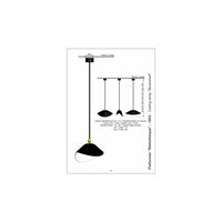 Bibliothèque Ceiling Light Black