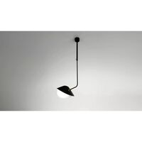 Bibliothèque Curved Ceiling Light Black