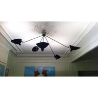 Spider 5 Fixed Eagles Arms Ceiling Light Black