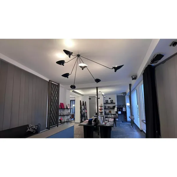 Spider 7 Fixed Arms Ceiling Light Black