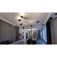 Spider 7 Fixed Arms Ceiling Light Black