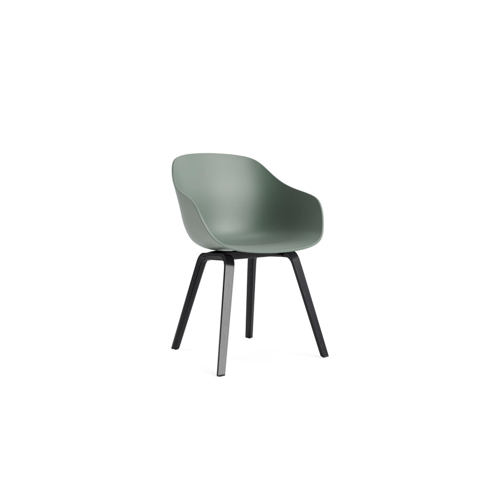 AAC222 Spisebordsstol Sort/Fall Green