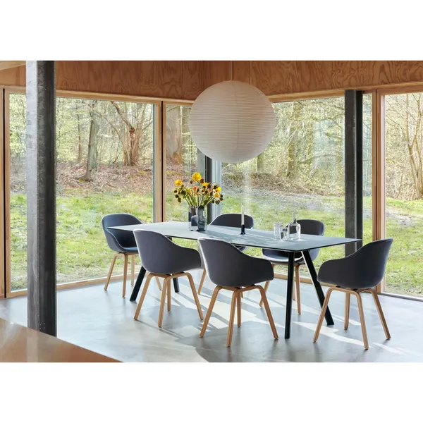 AAC223 Dining Table Chair Black/ Linara 499