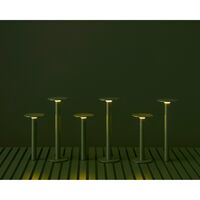 Host 300 Tragbare Lampe Olive