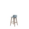 Lacquered Walnut / Light blue