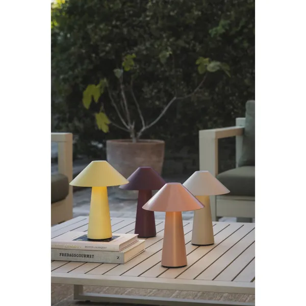 Cannes Draagbare Lamp Seagull
