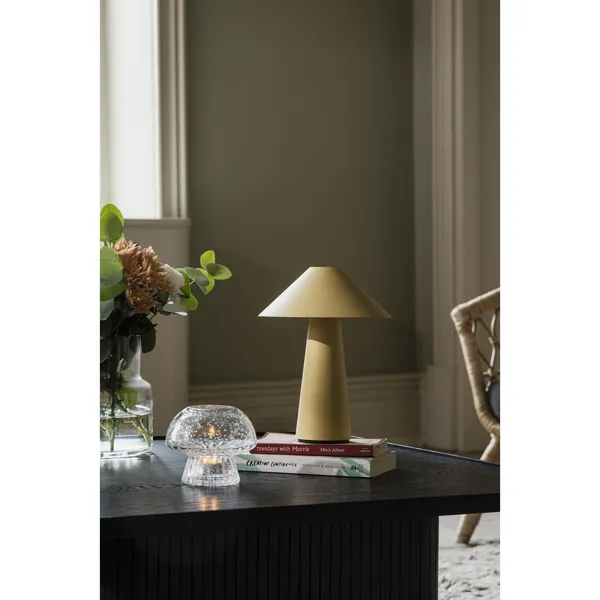Cannes Draagbare Lamp Seagull