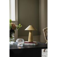 Cannes Draagbare Lamp Seagull