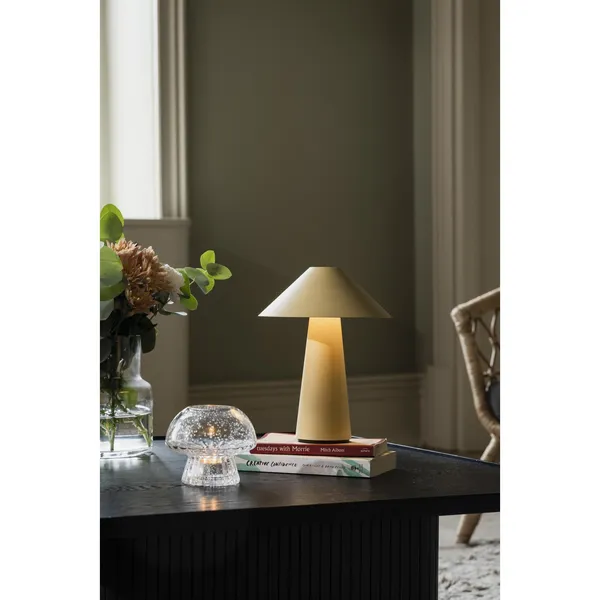 Cannes Draagbare Lamp Seagull