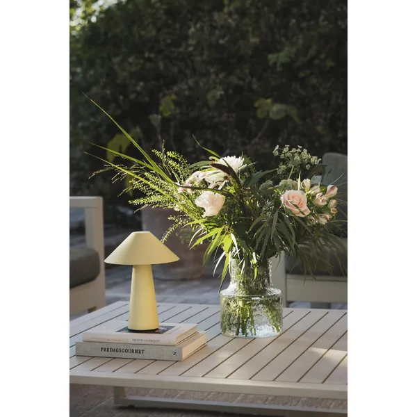 Cannes Draagbare Lamp Seagull