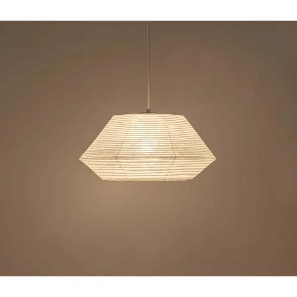 Tama Hanglamp Wit/staal