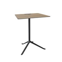 Egetræ / Lakeret aluminium