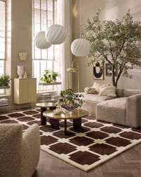 Block Rug 250x350 cm Brown/White