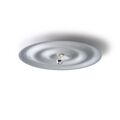 W171 Alma Loftlampe Raw