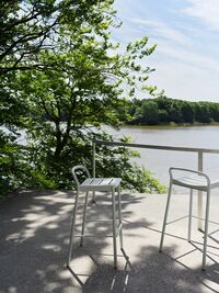 Linear Stålbarkrakk 75 cm Taupe
