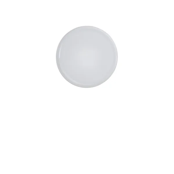 Looped Wall/ Ceiling Light IP44 White