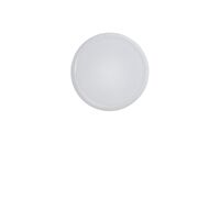 Looped Wall/ Ceiling Light IP44 White
