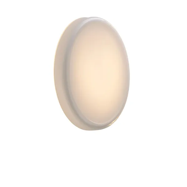 Looped Wall/ Ceiling Light IP44 White