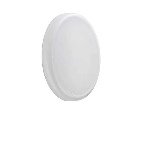 Looped Wall/ Ceiling Light IP44 White