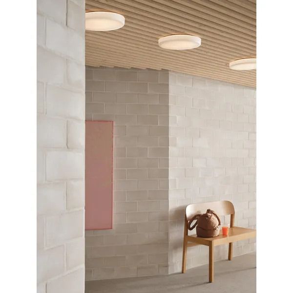 Looped Wall/ Ceiling Light IP44 White