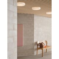 Looped Wall/ Ceiling Light IP44 White