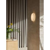 Looped Wall/ Ceiling Light IP44 White