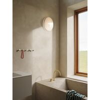 Looped Wall/ Ceiling Light IP44 White