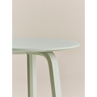 Bella Coffee Table Ø45xH49 Eucalyptus