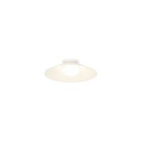 Wever & Ducré CLEA 1.0 Loftlampe 2700K Live Simple