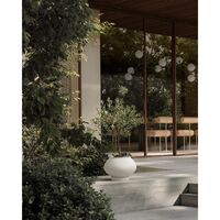 Sunao Fat Potteplante Medium Birk